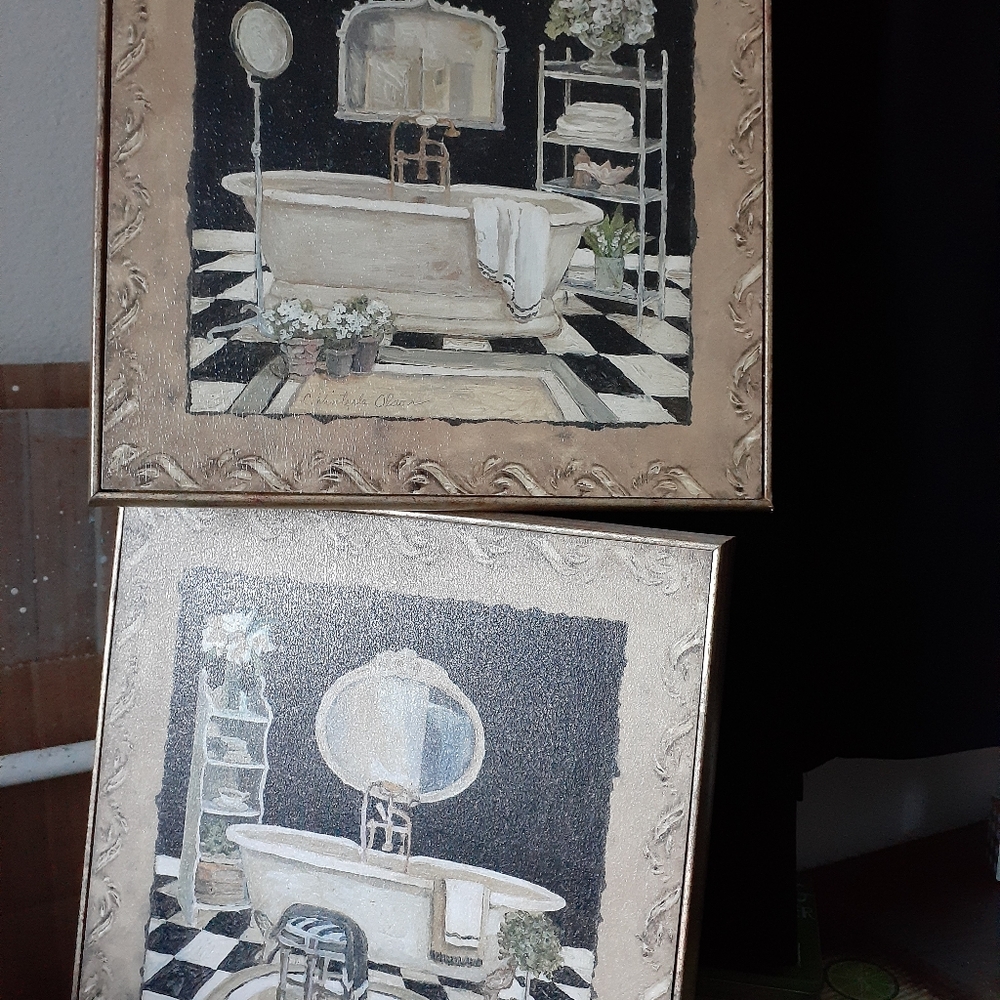 Bathroom art frames